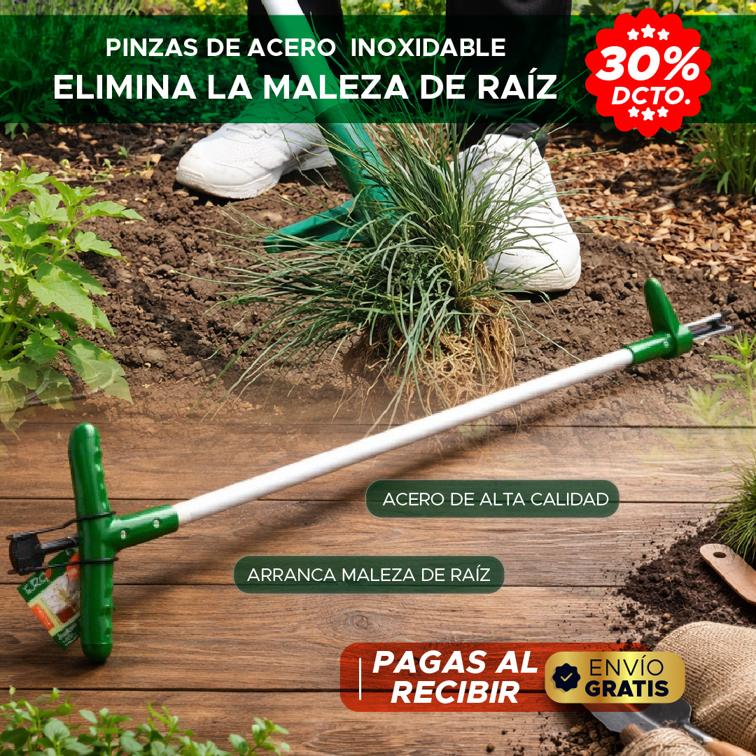 🛠️✨ 🌱 PINZAS DE ACERO PARA ARRANCAR MALEZA DE RAÍZ 💪🌿✨