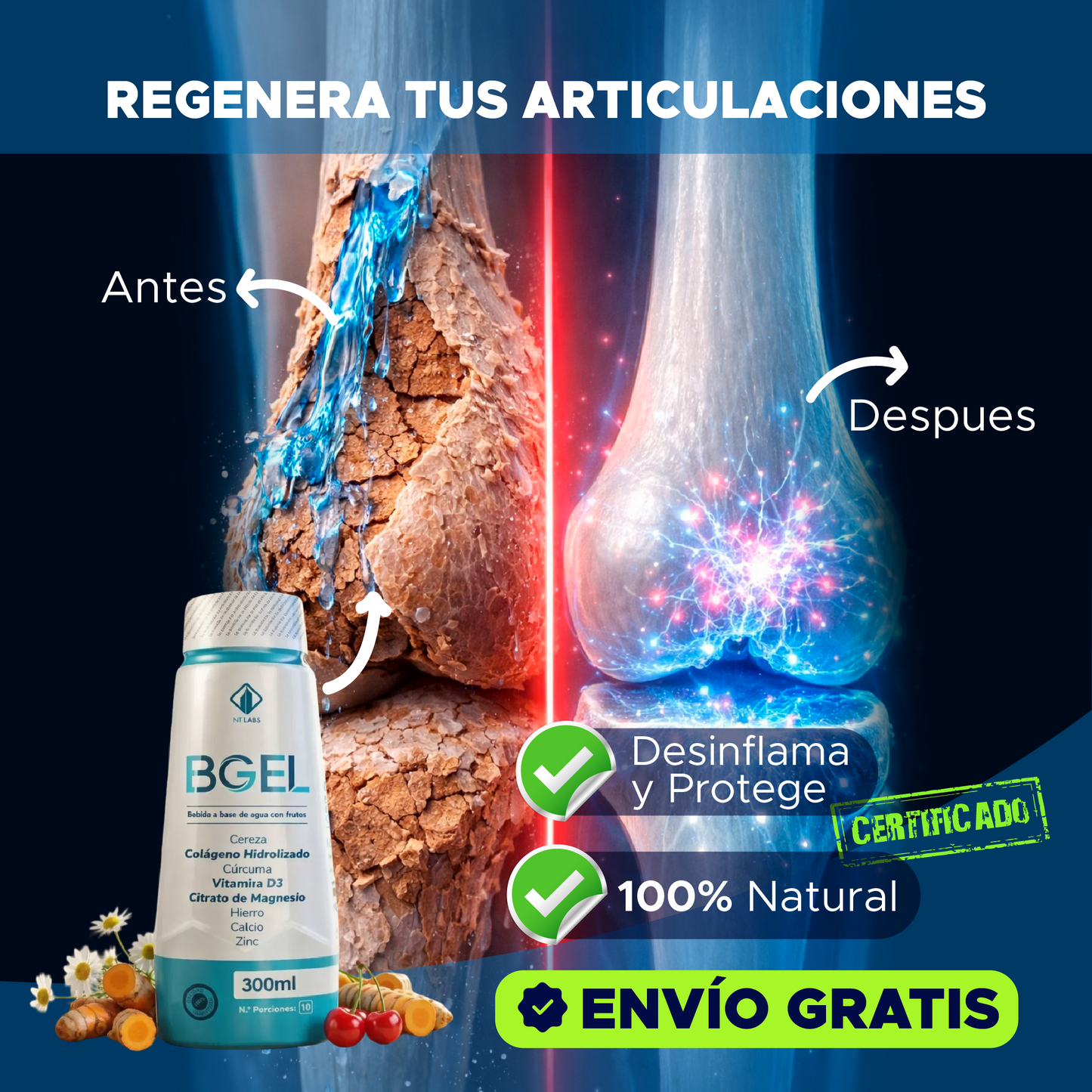 BGEL 🦴✨💚 REGENERADOR DE CARTÍLAGOS 100% NATURAL 💚✨🦴
